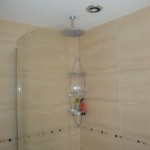 Ceiling Fed Shower Head and Spotlight Extractor Fan